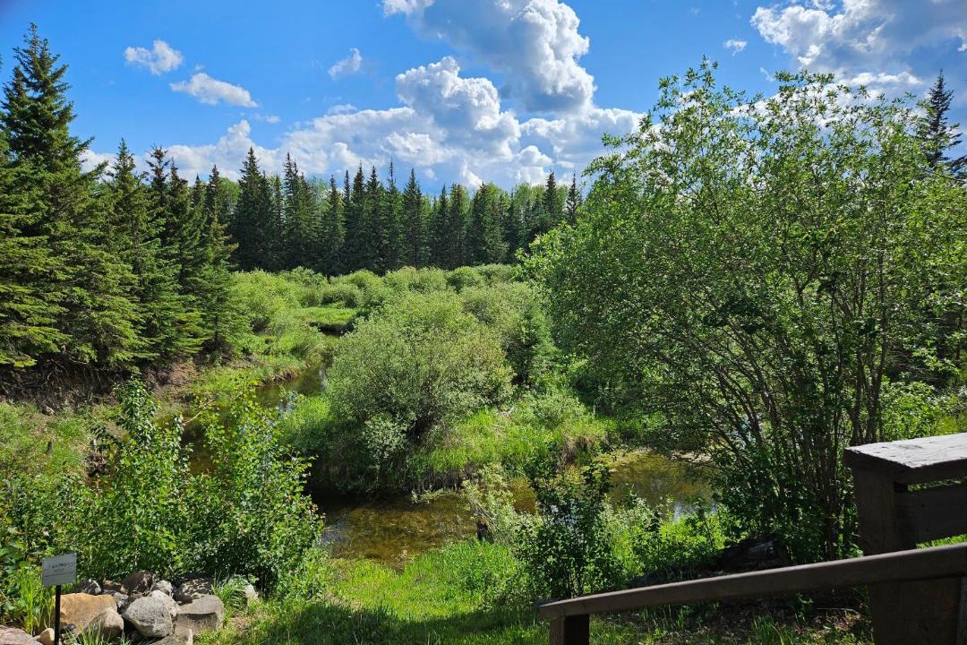 Photo of Others in Northern Alberta