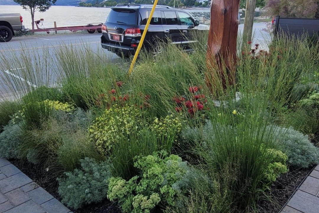 Photo of Outdoor in Central Okanagan