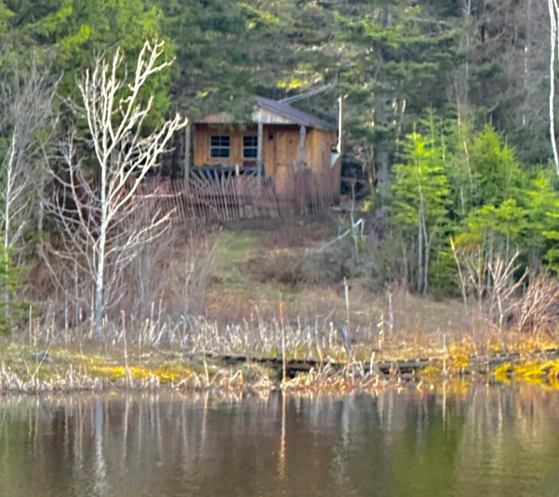 Photo of Others in Barton