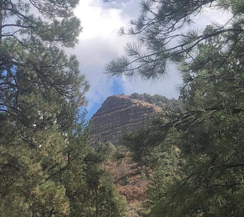 Photo of Others in Aspen Springs