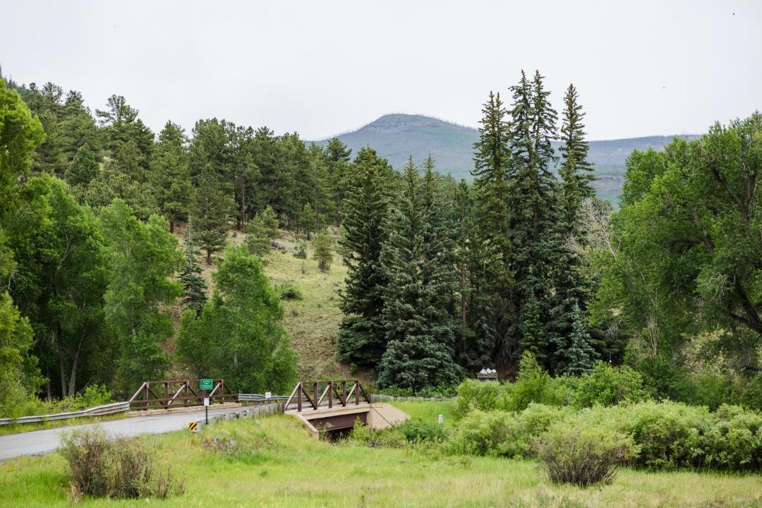 Photo of Others in South Fork