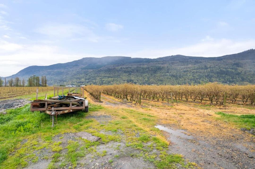 Photo of Others in Sumas Prairie