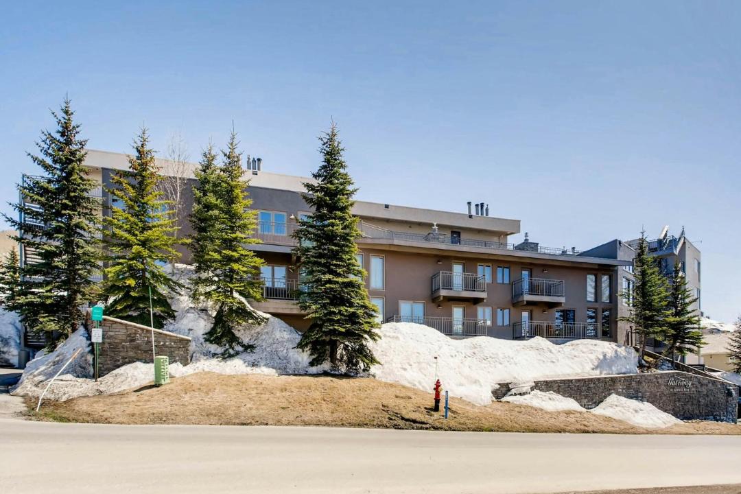 Photo of Others in Mount Crested Butte
