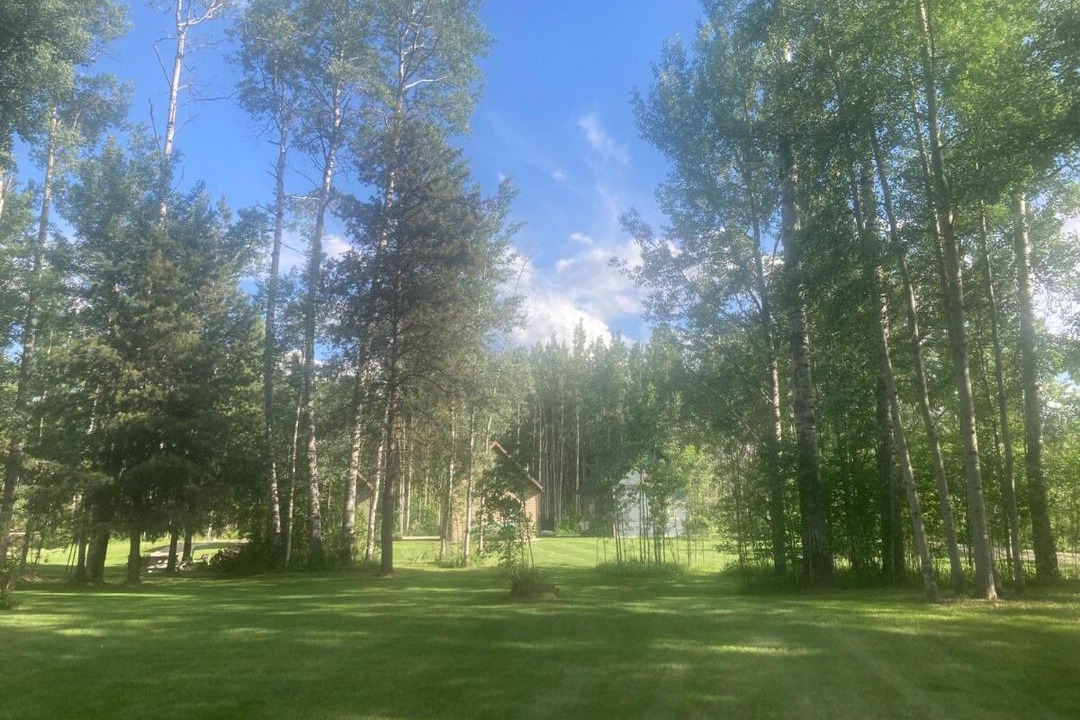 Photo of Others in Valemount