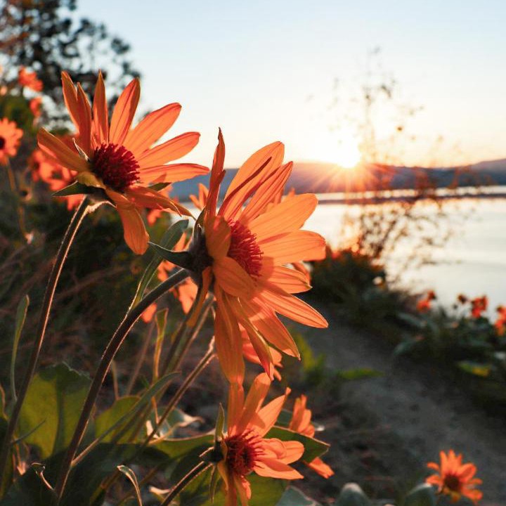 Photo of Others in Central Okanagan