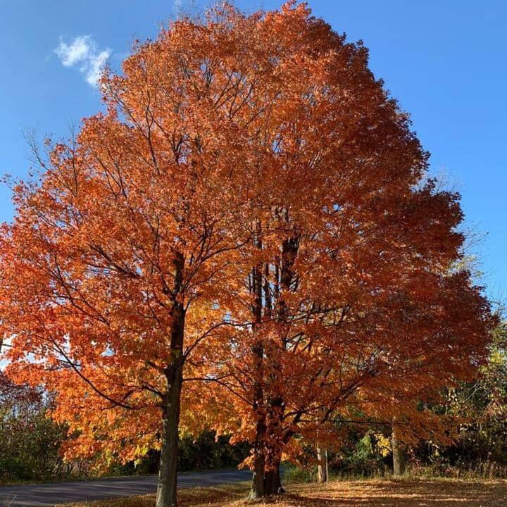 Photo of Others in New Haven