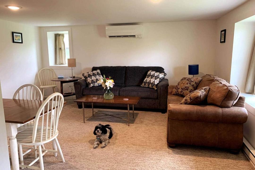 Photo of Livingroom in New Haven