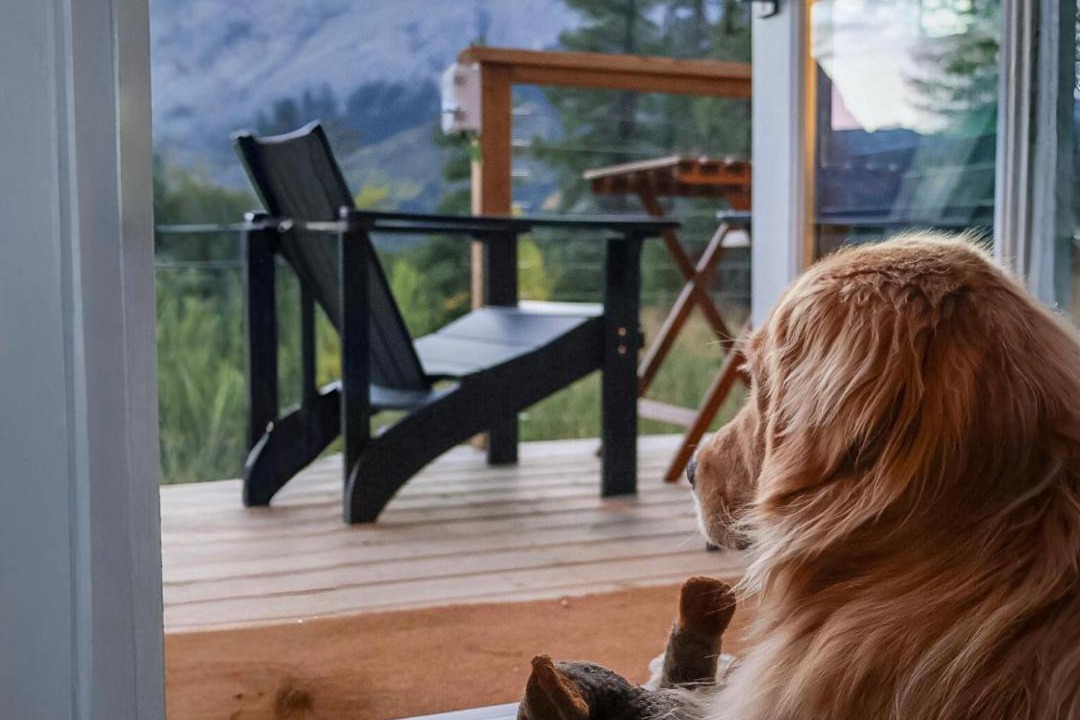 Photo of Others in Kananaskis