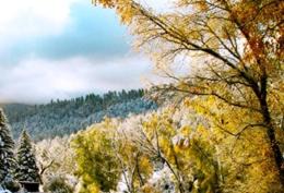Photo of Others in Taos