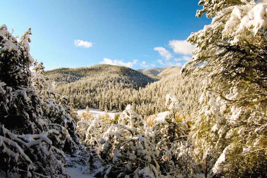 Photo of Others in Taos