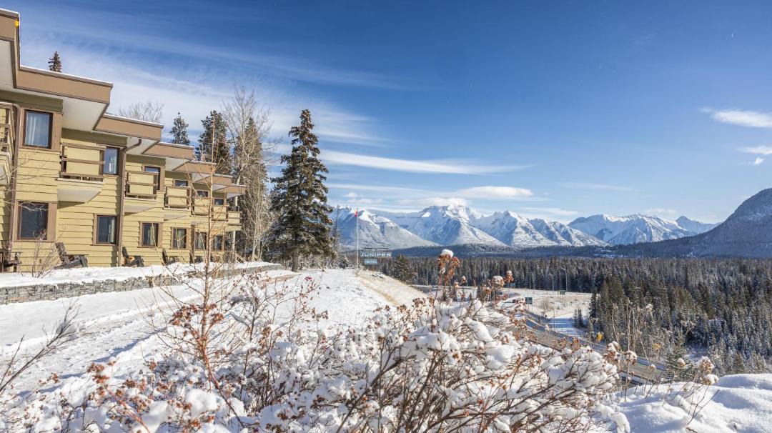 Photo of Others in Banff