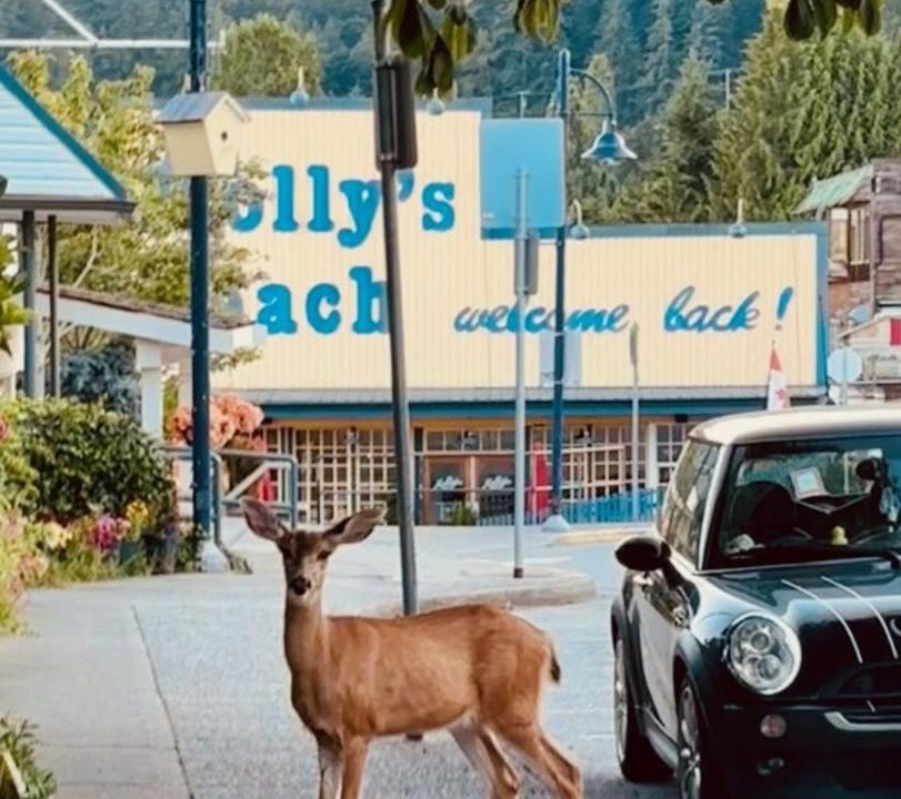 Photo of Others in Gibsons