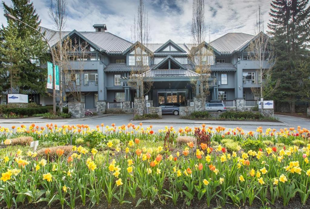 Photo of Others in Blackcomb