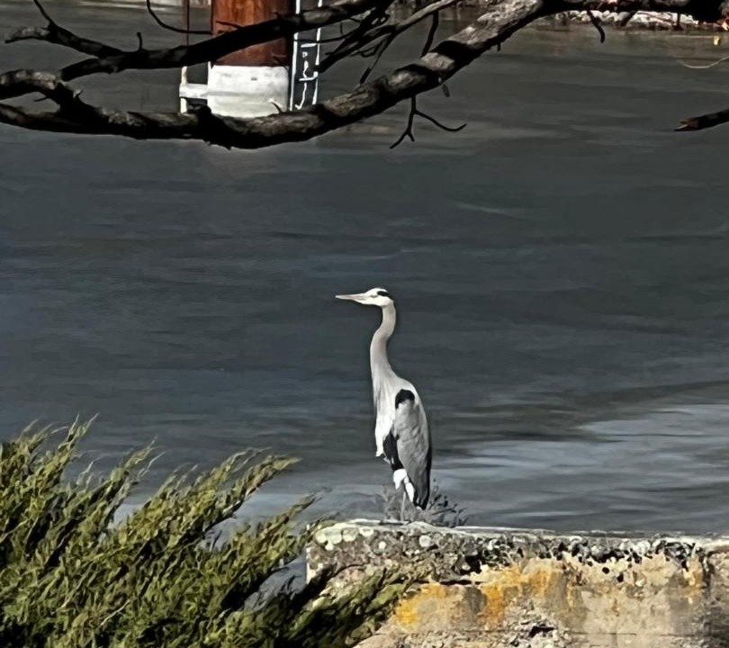 Photo of Others in Okanagan-Similkameen