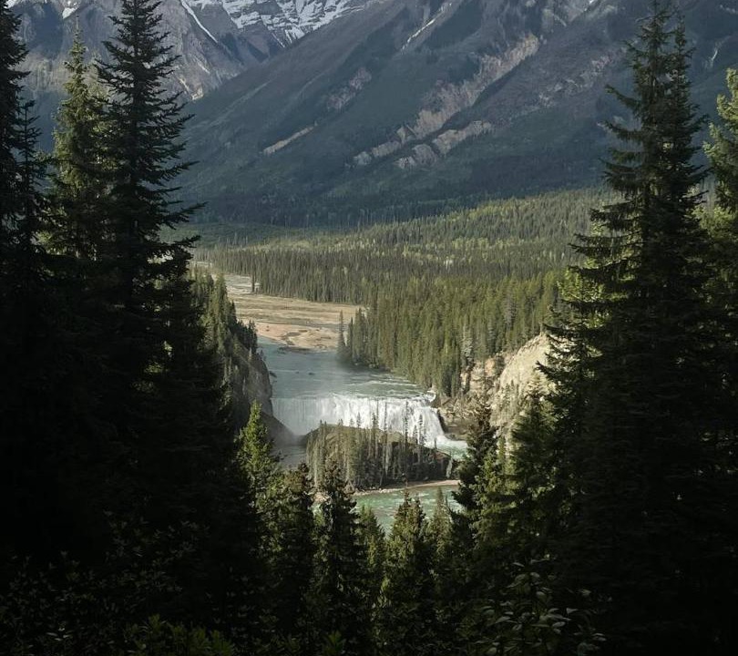 Photo of Others in Golden