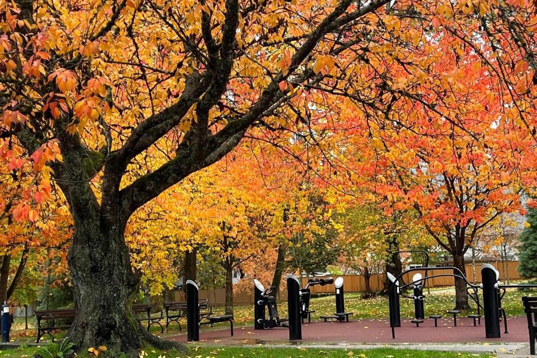 Photo of Others in Burnaby