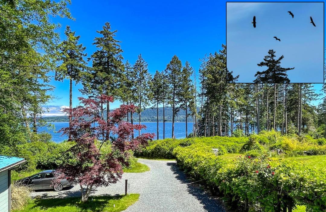 Photo of Others in Denman Island