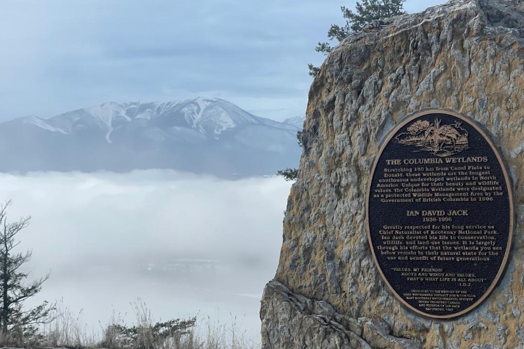 Photo of Others in East Kootenay