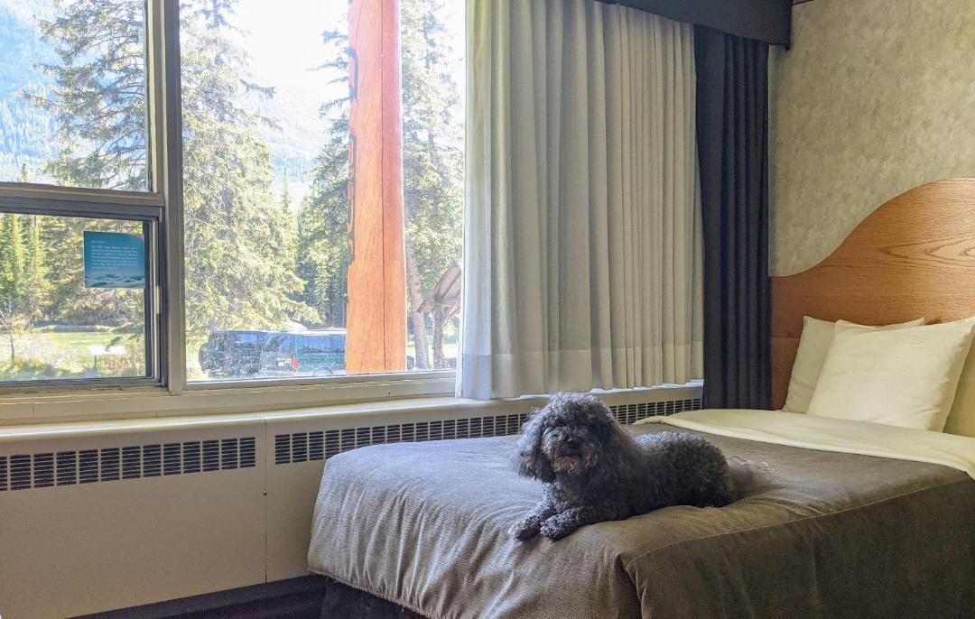 Photo of Others in Banff
