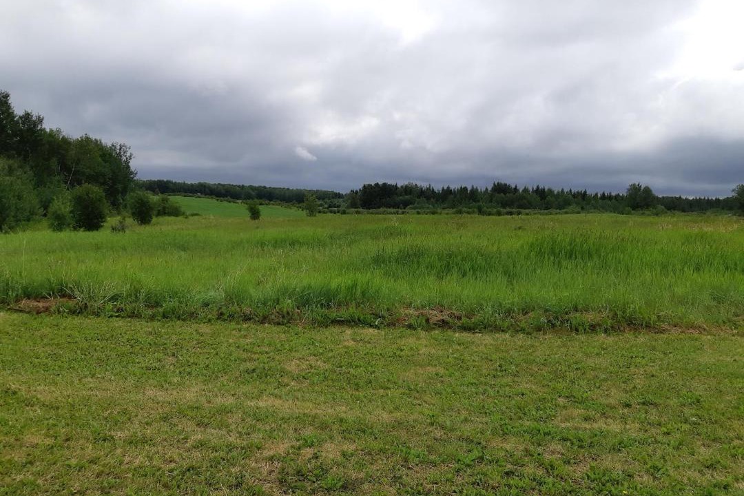 Photo of Others in Lac La Biche