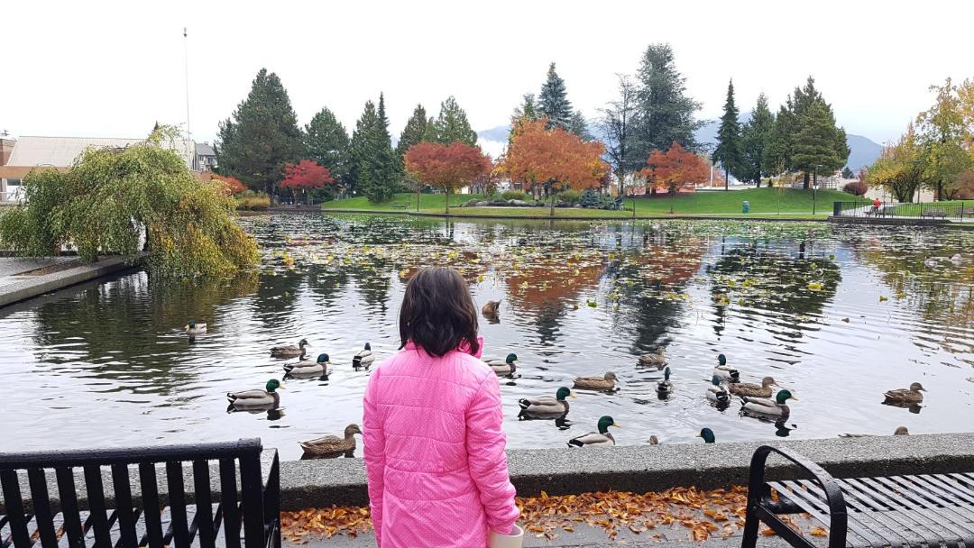 Photo of Others in Chilliwack Proper Village West
