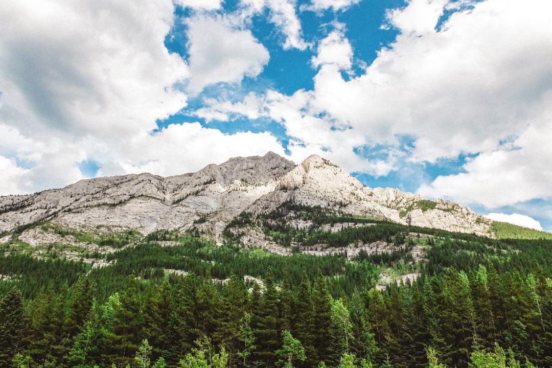 Photo of Others in Kananaskis
