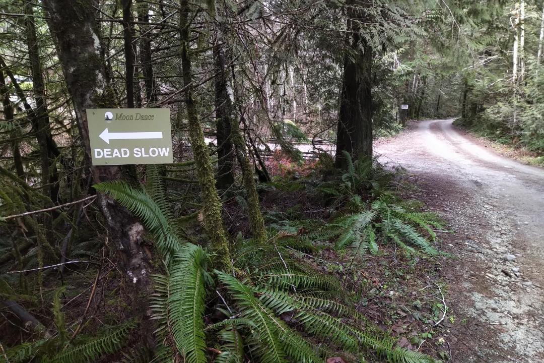 Photo of Others in Madeira Park