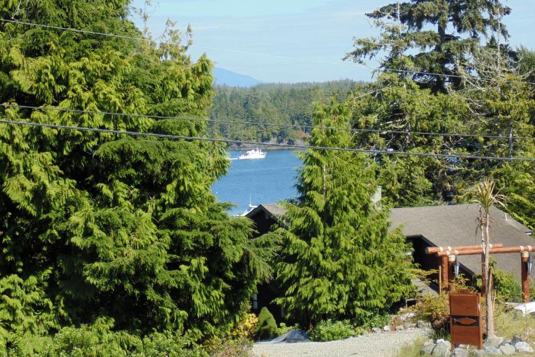 Photo of Others in Ucluelet