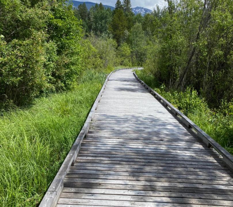 Photo of Others in Valemount