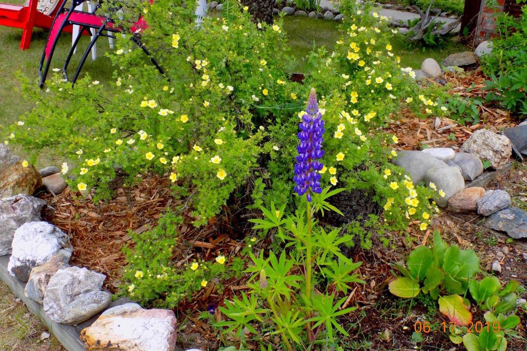 Photo of Outdoor in Valemount