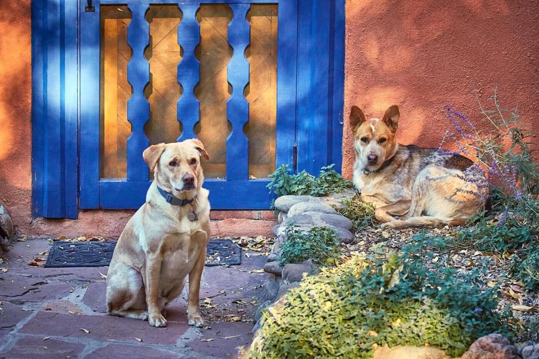 Photo of Others in Taos