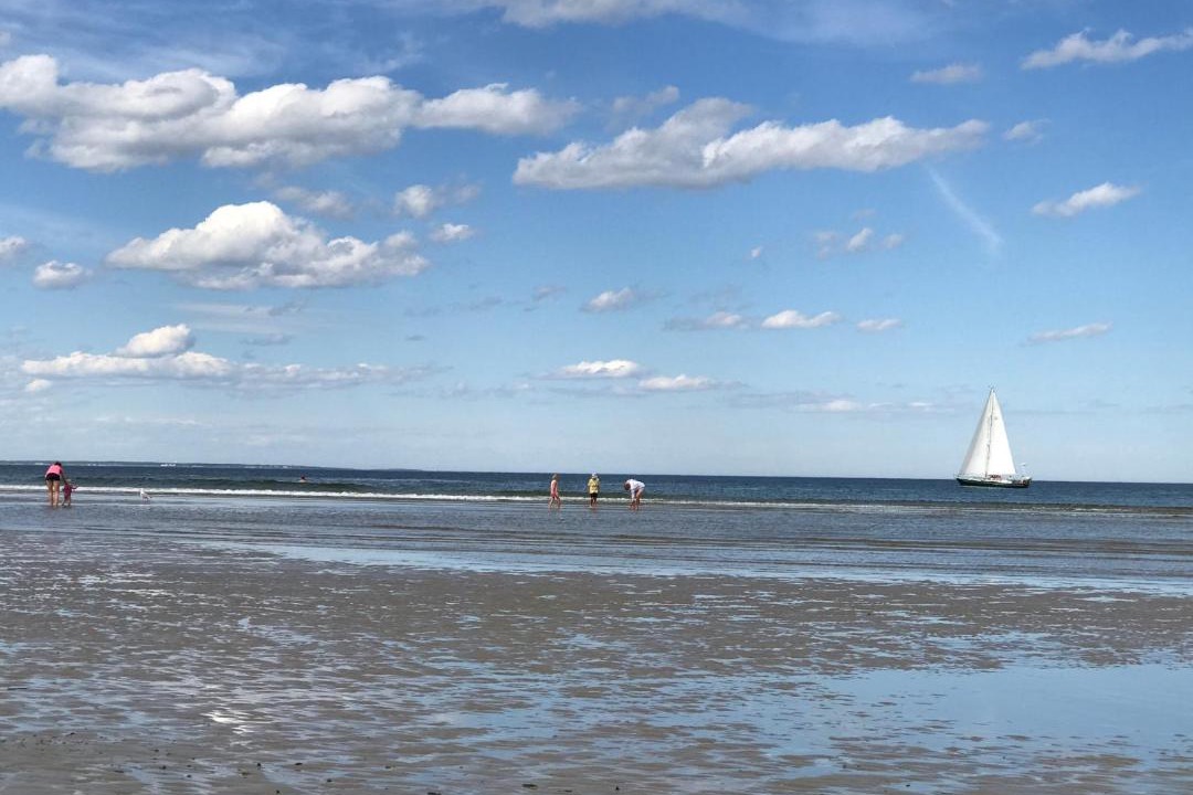 Photo of Others in Ogunquit