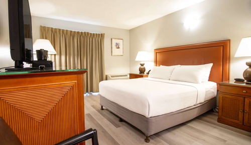 Standard Queen Room with Disability Access (Coast Accessible Queen)