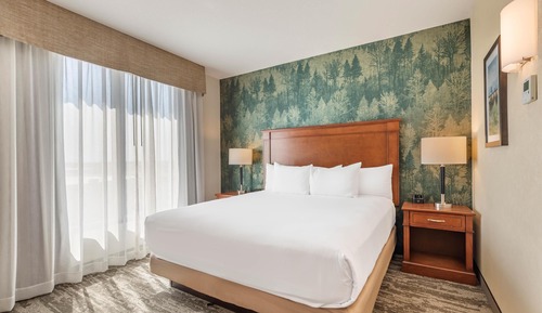 Suite, 1 King Bed with Sofa bed, Accessible (Sofa Sleeper, Tub, 2 Rooms)