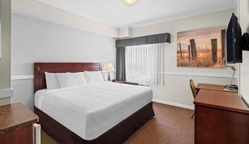 Room, 1 King Bed