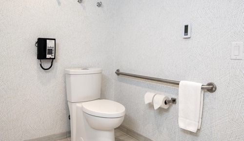 Studio, Accessible, Non Smoking (Roll-in Shower)