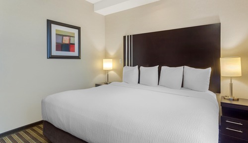 Executive Suite, 1 King Bed, Non Smoking