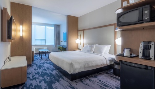 Suite, 1 King Bed with Sofa bed