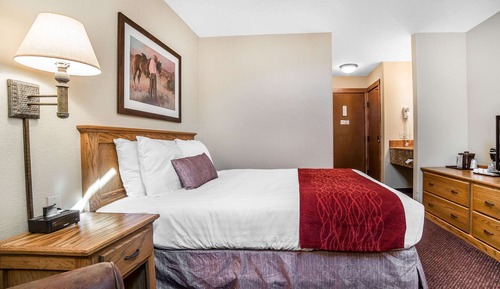 Room, 1 King Bed, Accessible, Non Smoking
