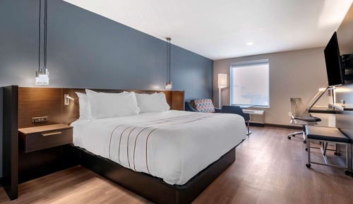 Standard Room, 1 King Bed, Accessible, Refrigerator