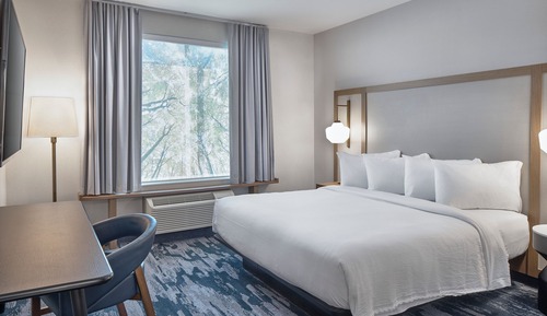 Room, 1 King Bed, Hearing Accessible (Roll-in Shower)