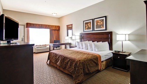 Room, 1 King Bed (Barrier Free)