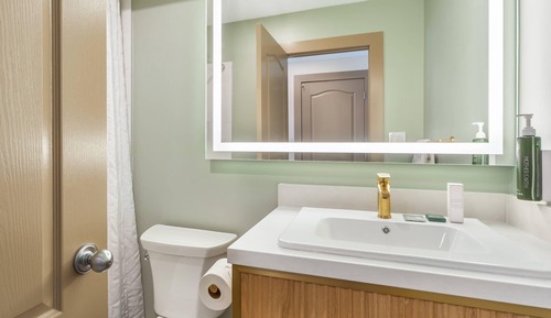 Suite, 1 King Bed, Non Smoking (Upgrade, Efficiency)