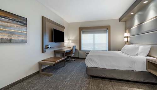 Room, 1 King Bed, Non Smoking, Refrigerator & Microwave (with Sofabed)