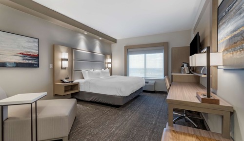 Standard Room, 1 King Bed, Non Smoking, Refrigerator & Microwave