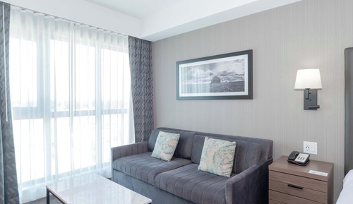 Standard Room, 1 King Bed with Sofa bed