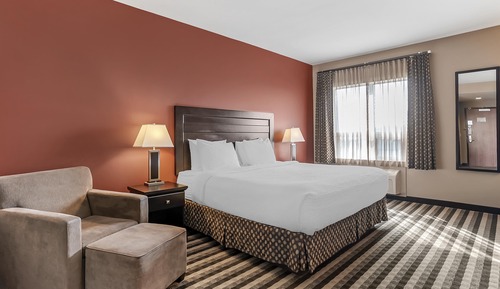 Junior Suite, 1 King Bed, Non Smoking, Jetted Tub (with Sofabed)