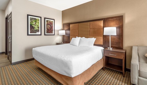 Standard Room, 1 King Bed, Non Smoking, Microwave