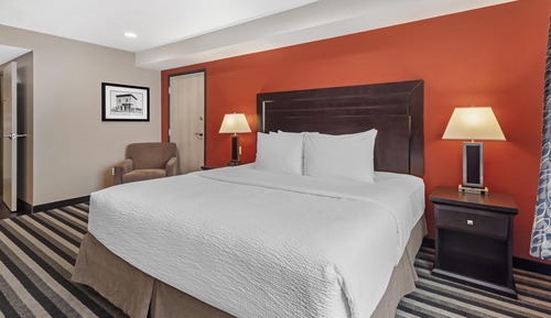 Standard Room, 1 King Bed, Non Smoking, Refrigerator & Microwave