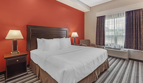 Standard Room, 1 King Bed, Accessible, Non Smoking (Walk-in Shower)